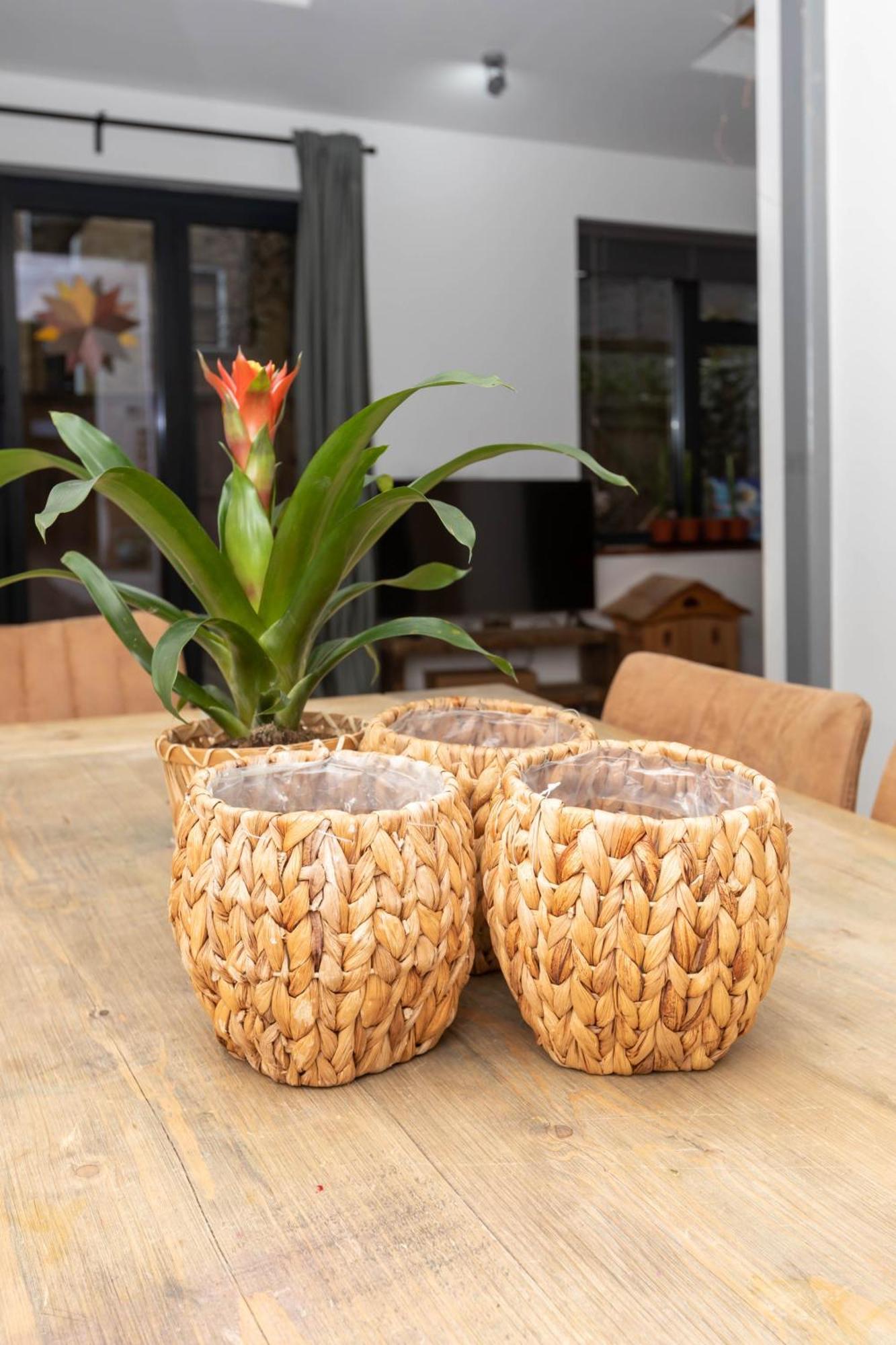 Vakantiehuis Family Friendly 3 Bedroom In Islington Londen