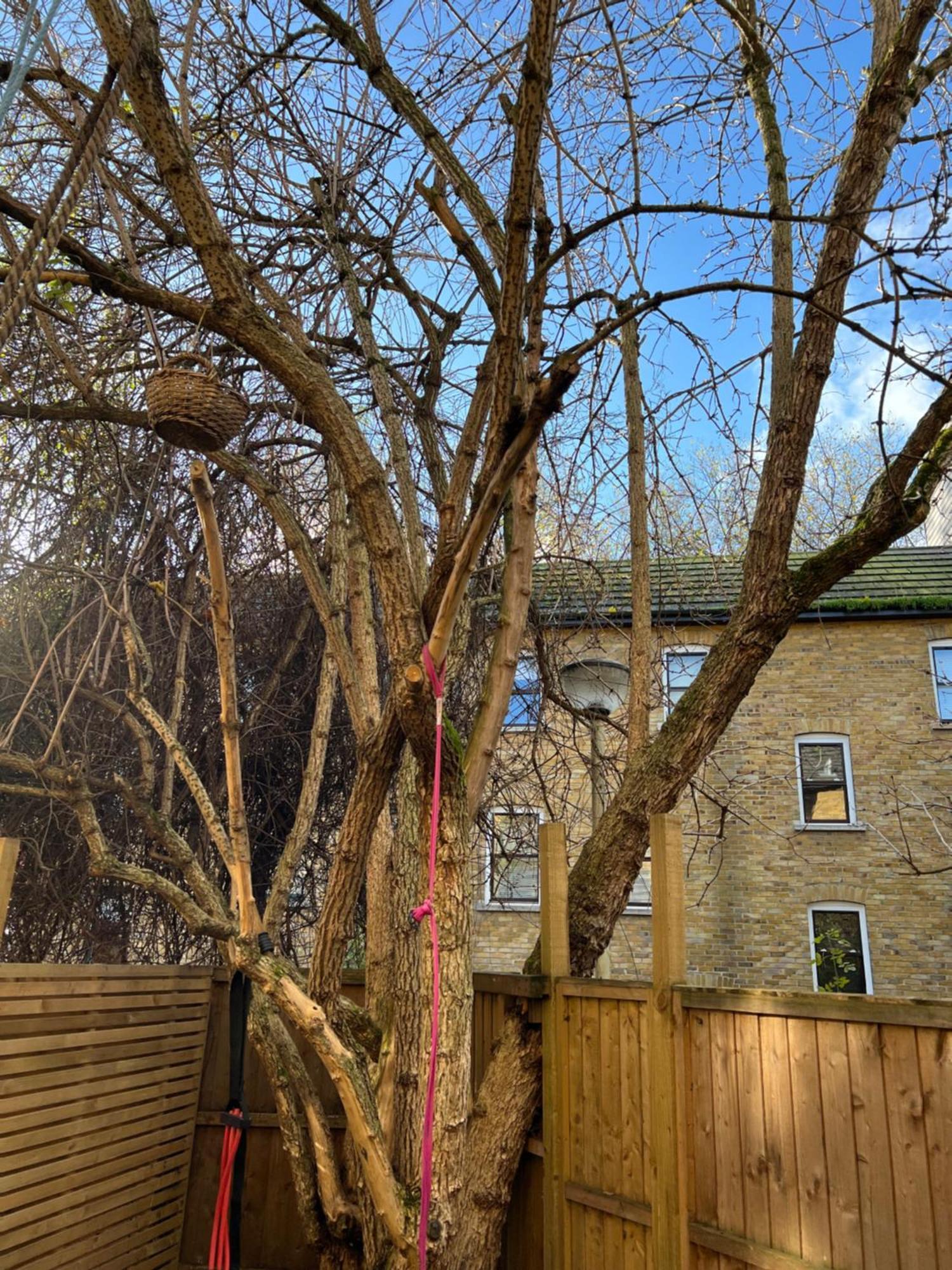 Family Friendly 3 Bedroom In Islington Vakantiehuis Londen